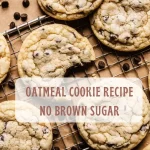 How to make oatmeal cookie recipe no brown sugar